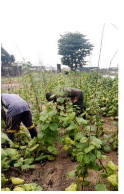 Assainissement durable, valorisation des ressources et écono…